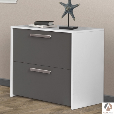 Uriegas 2-Drawer Lateral Filing Cabinet
